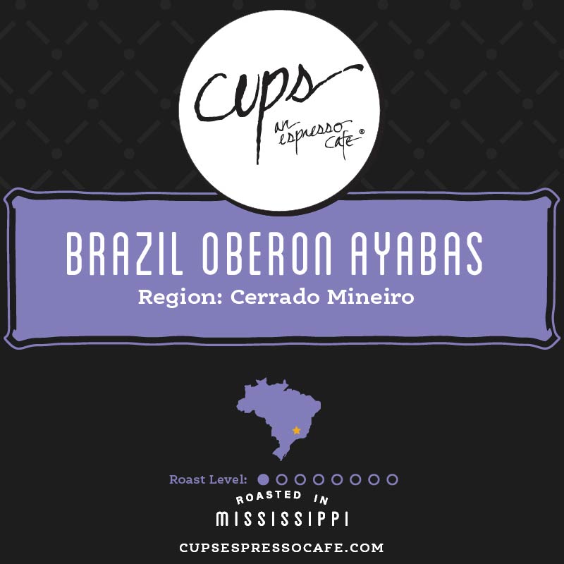 Brazil Oberon Ayabas